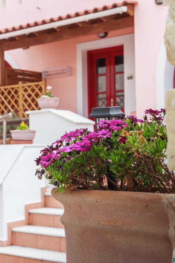 Chalki Apartments - Naxos Khalkíon Eksteriør billede