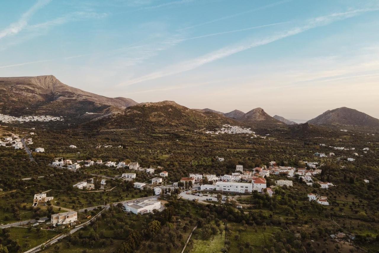 Chalki Apartments - Naxos Khalkíon Eksteriør billede